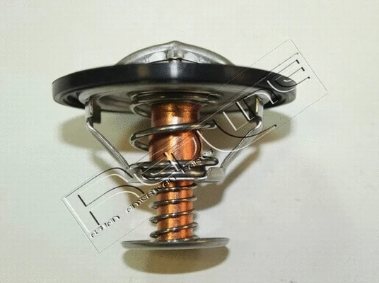 Thermostat, coolant (55TO005)