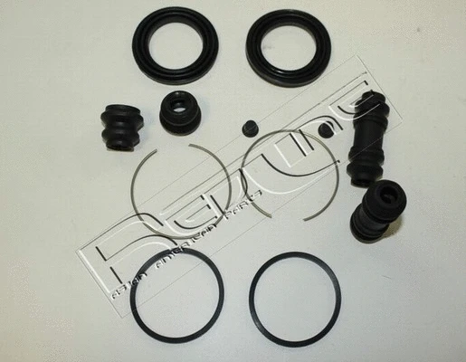 Repair Kit, brake caliper (53NI001)
