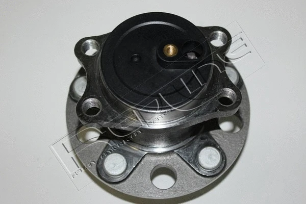 Wheel Hub (24JE009)