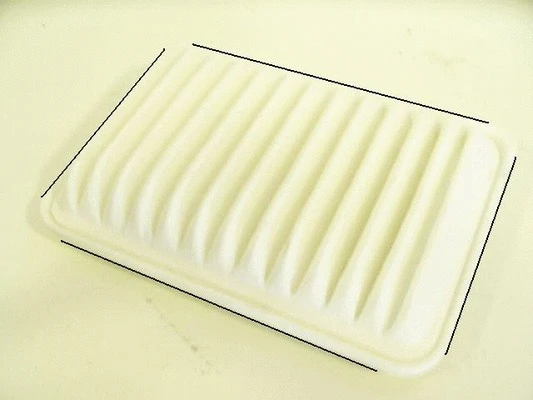 Air Filter (36TO019)