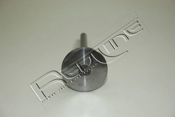 Intake Valve