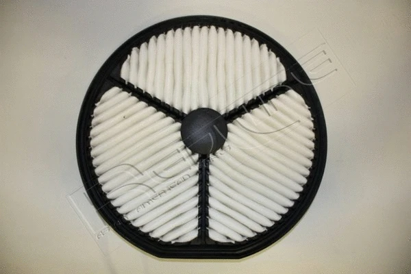 Air Filter (36DW021)