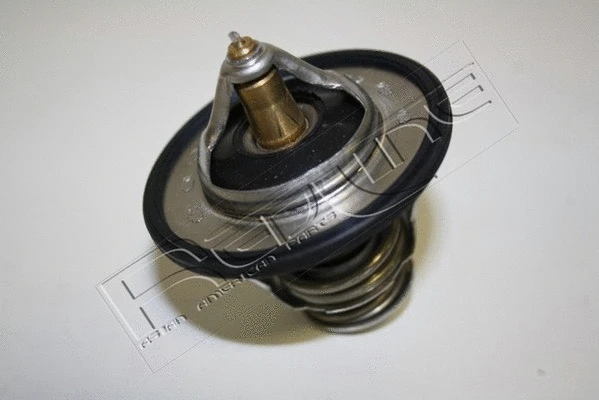 Thermostat, coolant (55KI004)