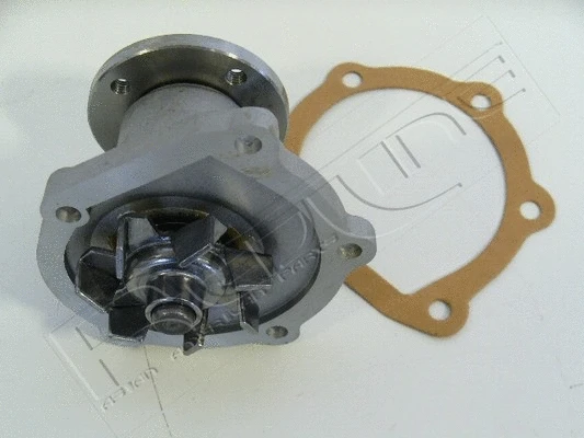 Water Pump, engine cooling (28TO035)