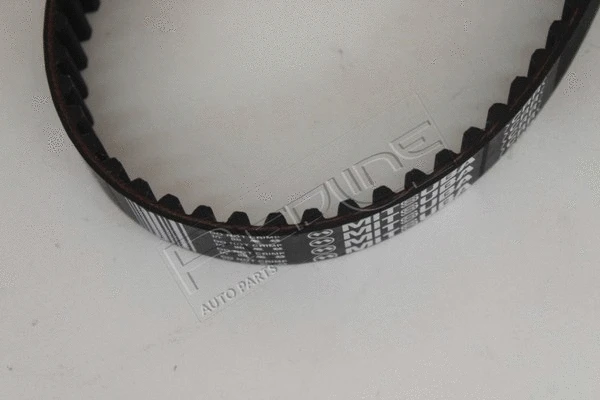 Timing Belt