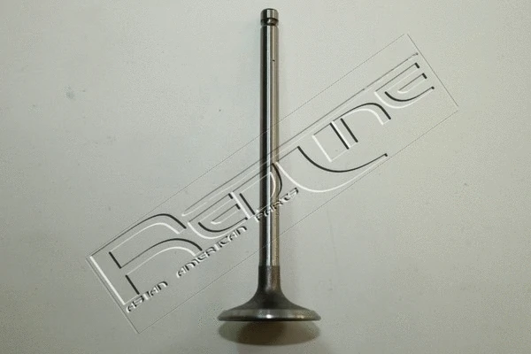 Intake Valve (15HY027)