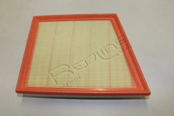 Air Filter (36RV029)
