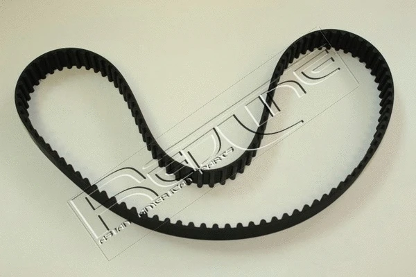 Timing Belt (29MZ012)