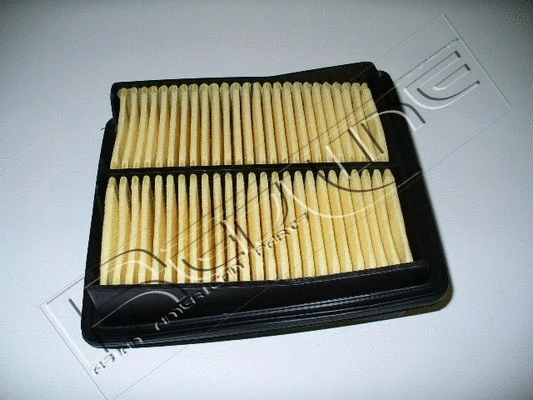 Air Filter (36HO004)