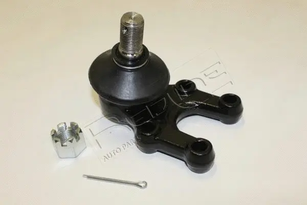 Ball Joint (40NI205)
