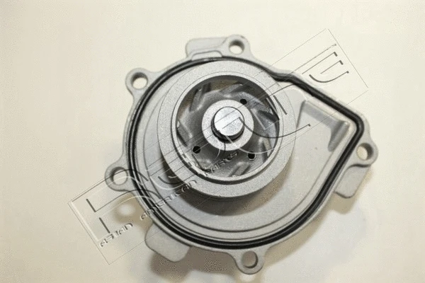 Water Pump, engine cooling (28CV009)