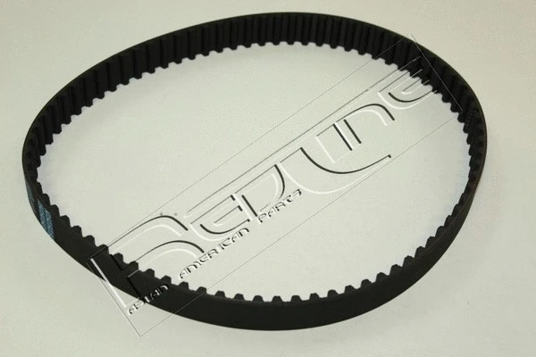 Timing Belt (29RV001)