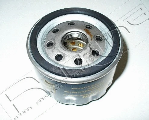 Oil Filter (38NI004)