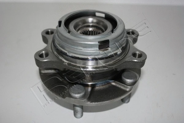 Wheel Hub (24NI007)