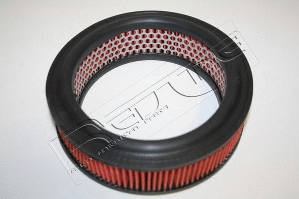 Air Filter (36NI054)
