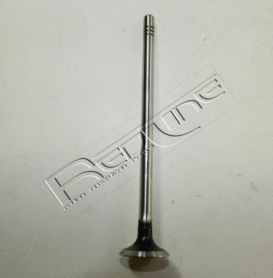 Exhaust Valve (15NI041)