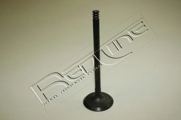Intake Valve (15NI036)