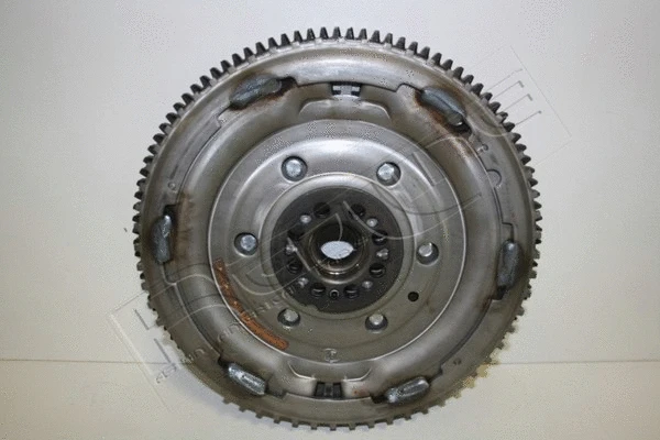 Flywheel (25NI080)