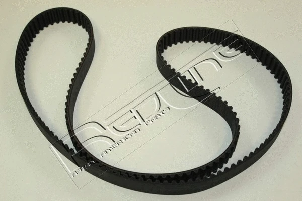 Timing Belt (29DW002)