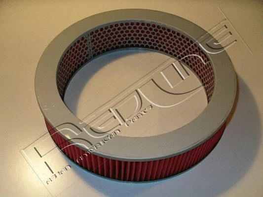 Air Filter (36NI005)