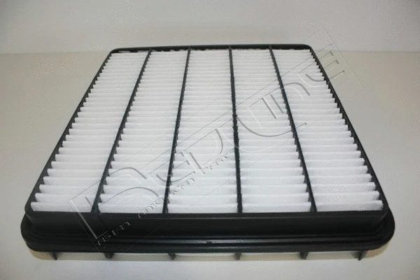 Air Filter (36TO046)
