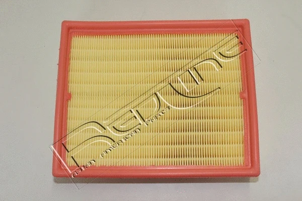Air Filter (36DR002)