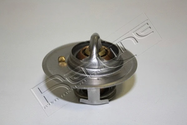 Thermostat, coolant (55NI002)