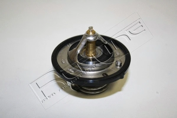 Thermostat, coolant (55HY002)