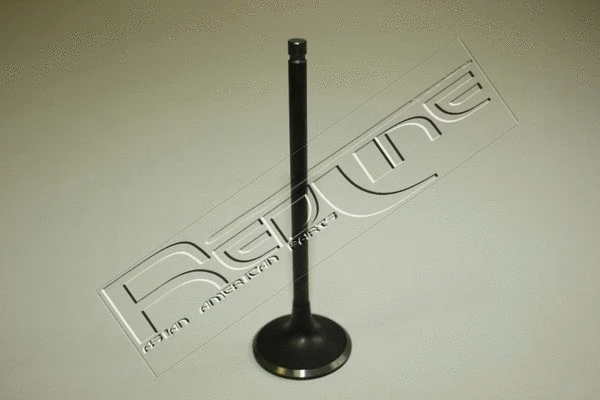 Intake Valve (15DW002)