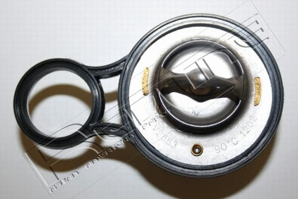 Thermostat, coolant (55CH001)
