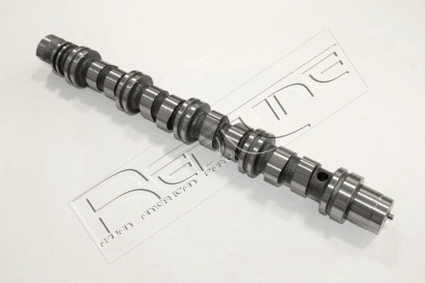 Camshaft (16CV000)