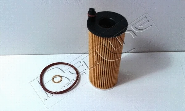 Oil Filter (38TO015)