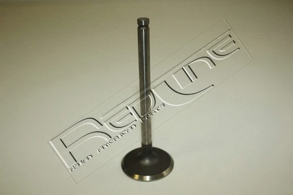Intake Valve (15DW004)