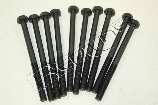 Cylinder Head Bolt Set (00CV000)
