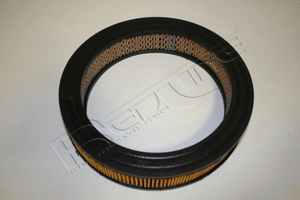 Air Filter (36DA006)
