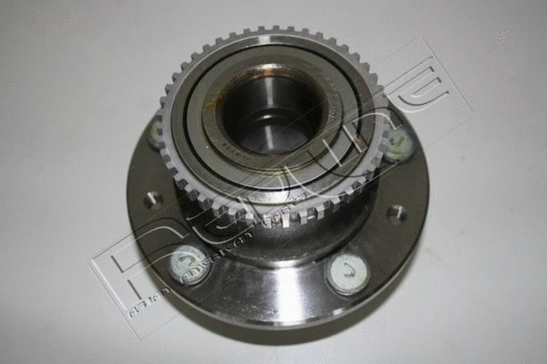 Wheel Hub (24MZ004)