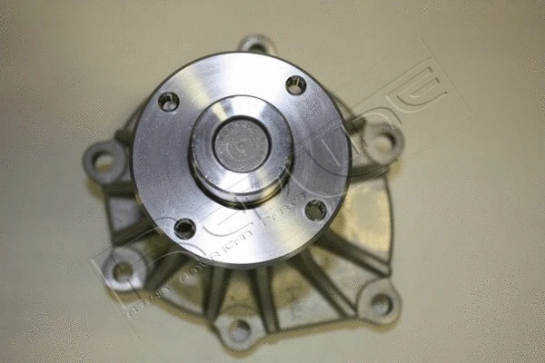 Water Pump, engine cooling (28IZ018)