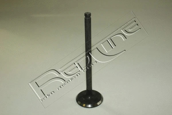 Intake Valve (15HY010)