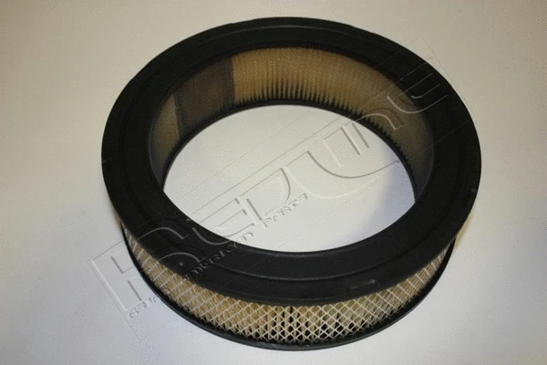 Air Filter (36DG006)