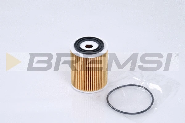 Oil Filter (FL0269)