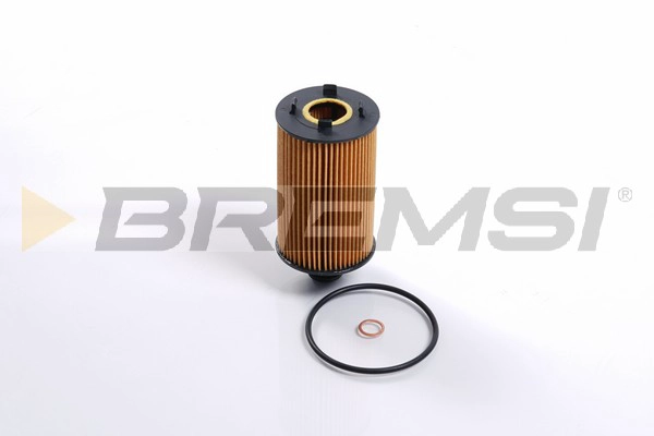 Oil Filter (FL0729)