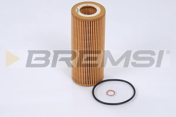 Oil Filter (FL0276)