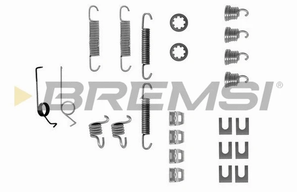 Accessory Kit, brake shoes (SK0519)