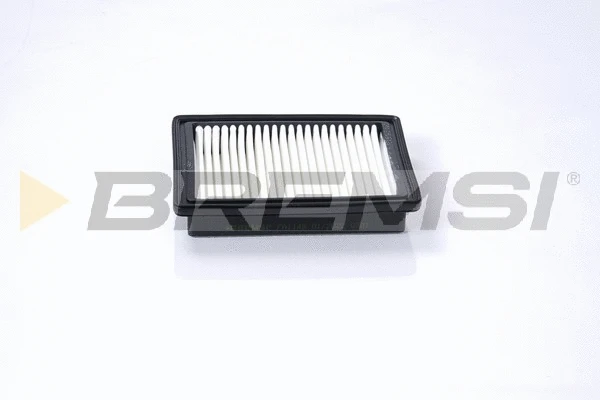 Air Filter (FA1145)