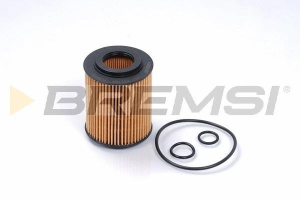 Oil Filter (FL0013)