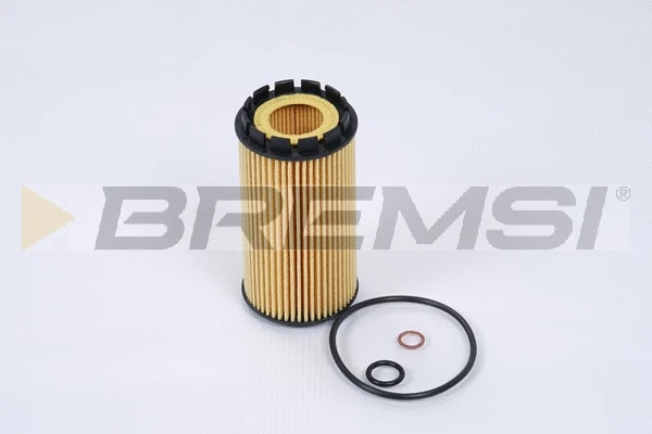 Oil Filter (FL0695)