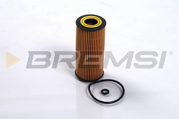 Oil Filter (FL0249)