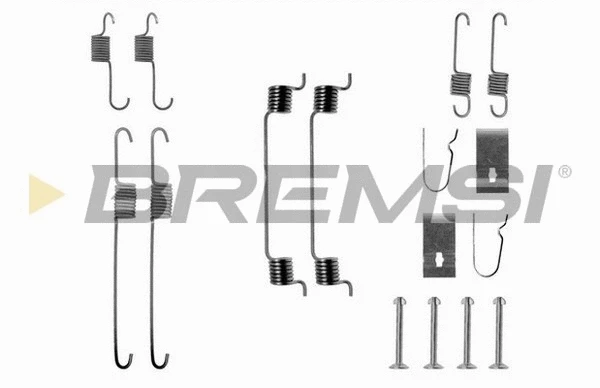 Accessory Kit, brake shoes (SK0699)