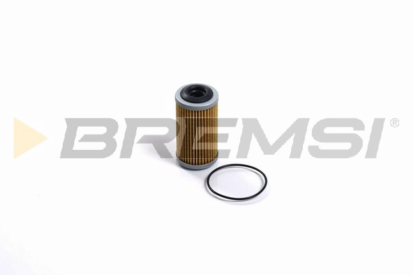 Hydraulic Filter, automatic transmission (FR2517)
