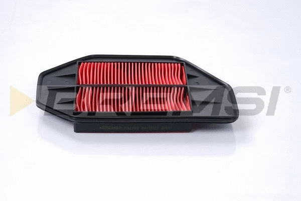 Air Filter (FA1701)